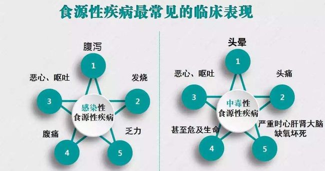 10个月可以吃蛋白吗关于婴儿在十个月大时能否摄入蛋白的探讨