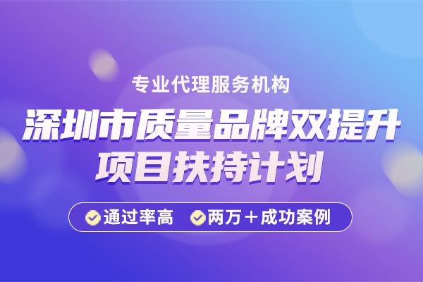 广东省单项冠军项目广东省单项冠军项目，铸造卓越，引领未来