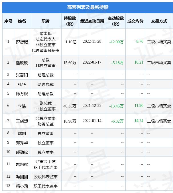 广东传媒有限公司盈利广东传媒有限公司盈利之路，策略与实践